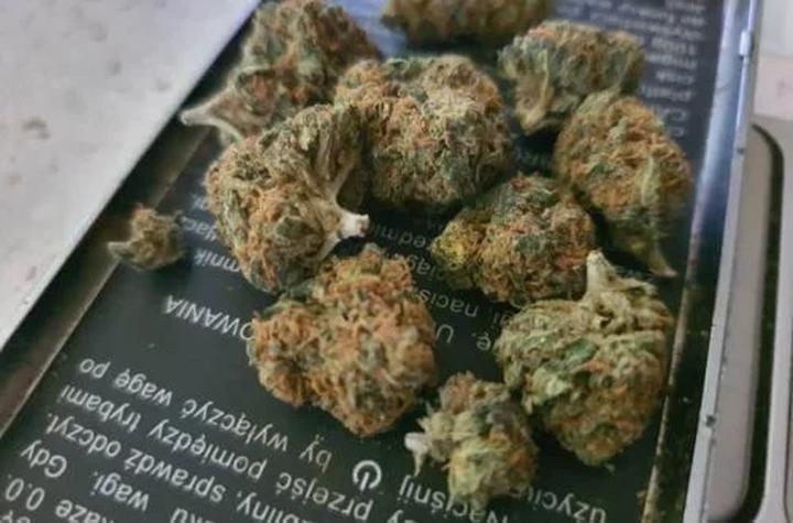 Właściwości lecznicze CBD