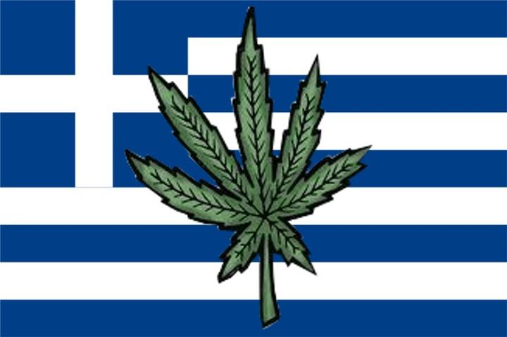 Zmiany w prawodawstwie konopnym