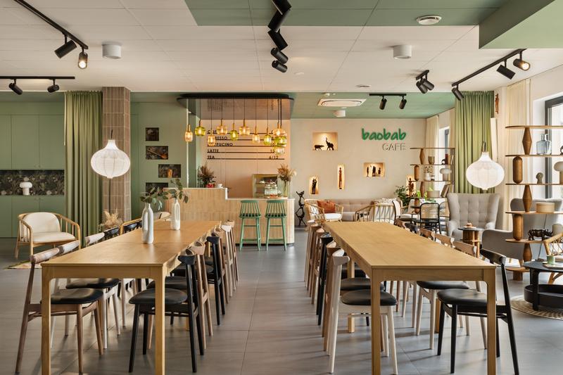 Baobab – niezwykłe drzewo i jego zdrowotne właściwości