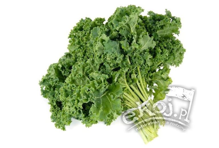 Odkryj właściwości bio jarmużu, które zachwycą Twoje zdrowie