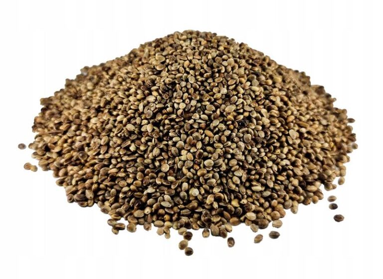 Gdzie znaleźć idealne konopie na ryby? Przewodnik dla wędkarzy