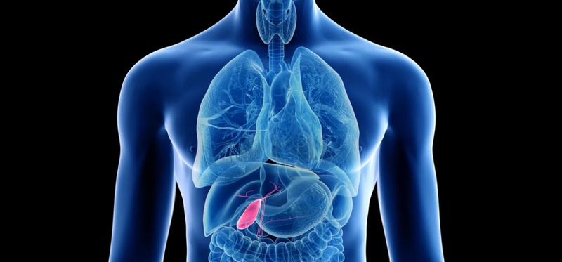 Aktywność fizyczna a zdrowy woreczek żółciowy