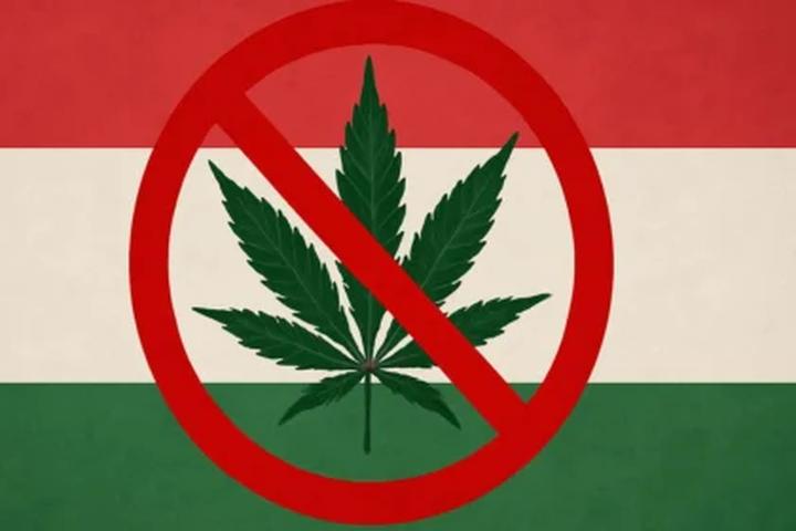 Legalizacja marihuany na Węgrzech