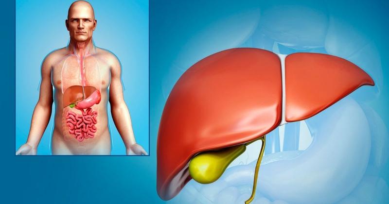 Naturalne środki na woreczek żółciowy