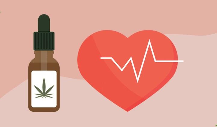 Czynniki wpływające na cenę olejku CBD – co warto wiedzieć?