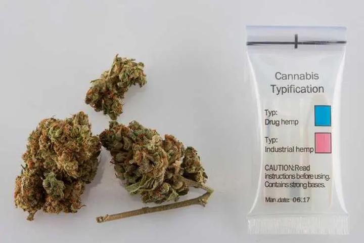 Zmiany w prawie konopnym