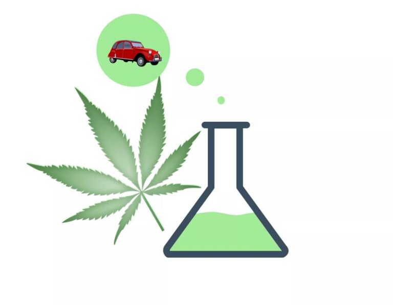 Czym jest paliwo z konopi i jak może zmienić naszą przyszłość?