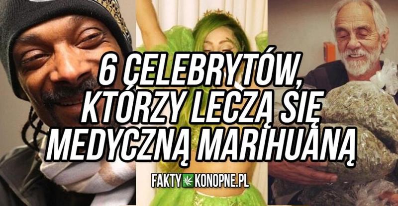 Legalizacja marihuany