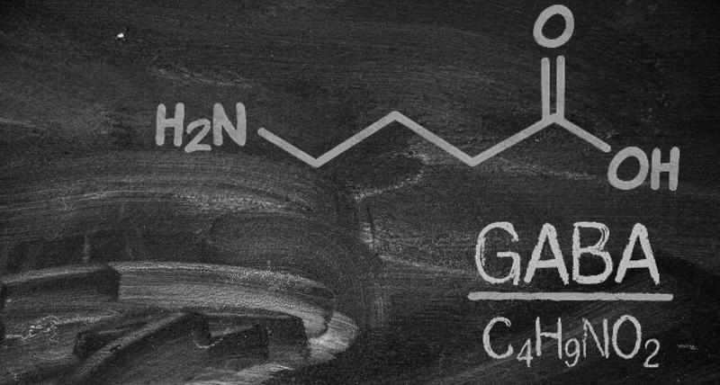 Suplementacja GABA