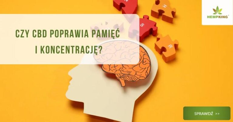 Czy CBD może wspierać pamięć oraz poprawić koncentrację?