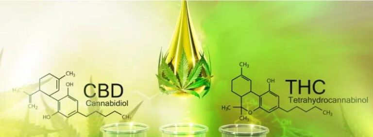 Innowacyjne badania nad THC i CBD w II kwartale 2026 roku