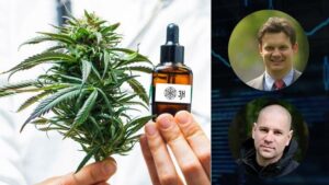 Nowe kierunki i innowacje: trendy w branży konopnej 2026