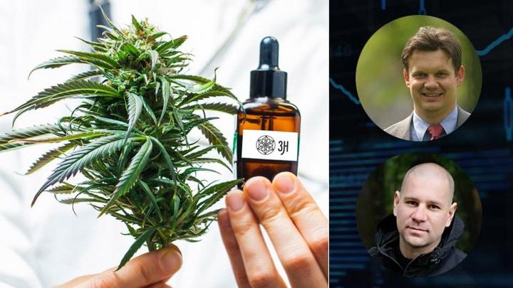 Nowe kierunki i innowacje: trendy w branży konopnej 2026