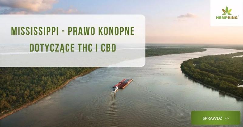 Prawo konopne w Arizonie: Co warto wiedzieć o CBD i THC?